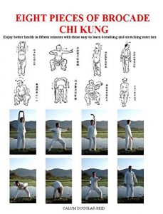 Baixar Eight Pieces of Brocade Chi Kung: Enjoy better health in fifteen minutes with these easy to learn breathing and stretching exercises (English Edition) pdf, epub, eBook