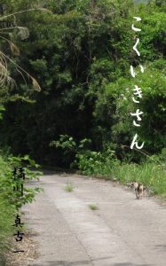 Baixar kokuikisan (Japanese Edition) pdf, epub, eBook