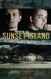 Baixar Sunset Island (Caloosa Club Mysteries) (English Edition) pdf, epub, eBook