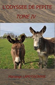 Baixar L’ODYSSEE DE PEPITE: TOME IV (French Edition) pdf, epub, eBook