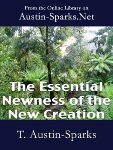 Baixar The Essential Newness of the New Creation (English Edition) pdf, epub, eBook