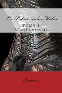 Baixar La Putain et le Malin: Cruel noviciat (French Edition) pdf, epub, eBook