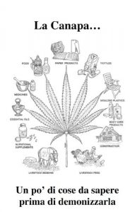 Baixar Canapa, la storia di una pianta demonizzata ingiustamente (Italian Edition) pdf, epub, eBook