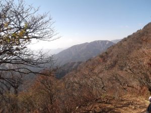 Baixar OJIISANHA OKOTTEIRUZO (Japanese Edition) pdf, epub, eBook