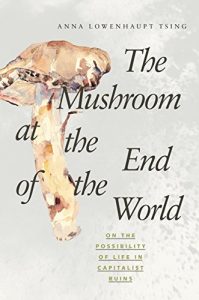 Baixar The Mushroom at the End of the World: On the Possibility of Life in Capitalist Ruins pdf, epub, eBook