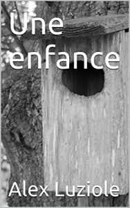 Baixar Une enfance (French Edition) pdf, epub, eBook