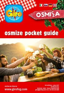 Baixar Osmize: pocket guide (Italian Edition) pdf, epub, eBook