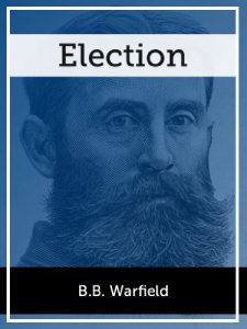 Baixar Election (English Edition) pdf, epub, eBook