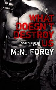 Baixar What Doesn’t Destroy Us (The Devil’s Dust Book 1) (English Edition) pdf, epub, eBook