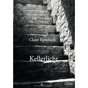 Baixar Kellerlicht: ein autobiografischer Roman in (meist gereimten) Versen (German Edition) pdf, epub, eBook