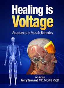 Baixar Healing is Voltage: Acupuncture Muscle Batteries: An Atlas (English Edition) pdf, epub, eBook
