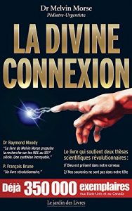 Baixar La Divine Connexion (French Edition) pdf, epub, eBook