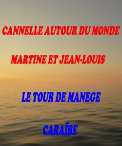 Baixar LE TOUR DE MANEGE CARAIBE (CANNELLE AUTOUR DU MONDE t. 3) (French Edition) pdf, epub, eBook