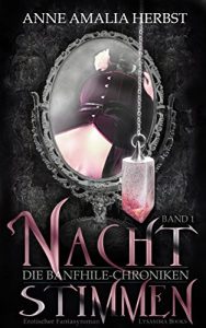 Baixar Nachtstimmen: Die Banfhile-Chroniken – Band 1 (German Edition) pdf, epub, eBook