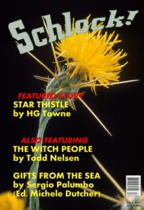 Baixar Schlock! Webzine Vol 4 Iss 7 (English Edition) pdf, epub, eBook