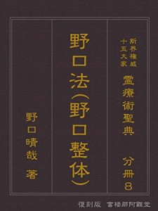 Baixar Hukkokubanbunsatsu Noguchihou: Reiryoujutsuseiten Shikaikenijuugotaika (Japanese Edition) pdf, epub, eBook