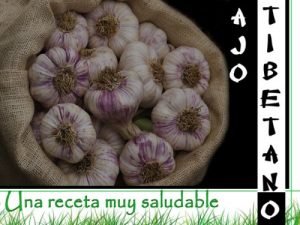 Baixar AJO TIBETANO. ANTIGUA RECETA BUDISTA MUY SALUDABLE. (Spanish Edition) pdf, epub, eBook