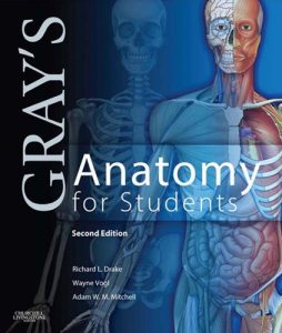 Baixar Gray’s Anatomy for Students E-Book pdf, epub, eBook