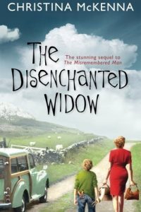 Baixar The Disenchanted Widow pdf, epub, eBook