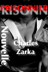 Baixar PRISONNIER (French Edition) pdf, epub, eBook