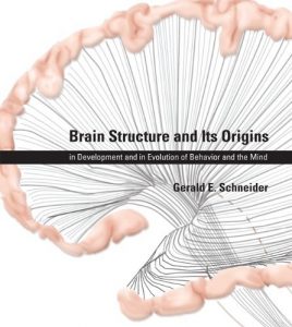 Baixar Brain Structure and Its Origins: in Development and in Evolution of Behavior and the Mind (MIT Press) pdf, epub, eBook
