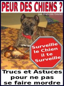Baixar Peur des Chiens – Trucs et Astuces pour ne pas se faire mordre (French Edition) pdf, epub, eBook