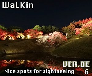 Baixar WaLKin 6 (German Edition) pdf, epub, eBook