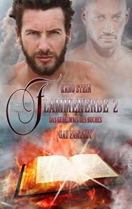 Baixar Flammenerbe 2: Das Geheimnis des Buches (German Edition) pdf, epub, eBook