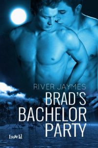 Baixar Brad’s Bachelor Party (English Edition) pdf, epub, eBook