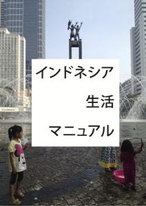 Baixar INNDONESIASEIKATUMANYUARU inndonesiamanyuaru (Japanese Edition) pdf, epub, eBook