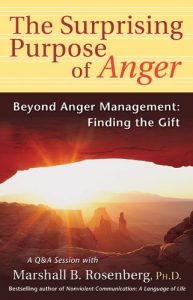 Baixar The Surprising Purpose of Anger: Beyond Anger Management: Finding the Gift (Nonviolent Communication Guides) pdf, epub, eBook