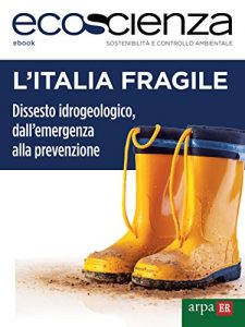 Baixar L’Italia fragile: Dissesto idrogeologico, dall’emergenza alla prevenzione pdf, epub, eBook