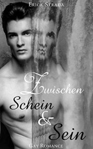 Baixar Zwischen Schein und Sein (Gay Romance) (German Edition) pdf, epub, eBook
