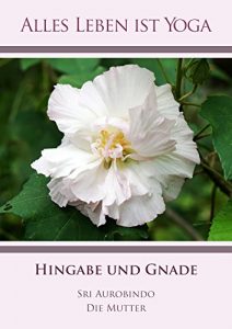 Baixar Hingabe und Gnade (Alles Leben ist Yoga 1) (German Edition) pdf, epub, eBook