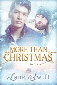 Baixar More Than Christmas (Michigan Seasons Book 1) (English Edition) pdf, epub, eBook
