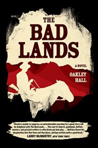 Baixar The Bad Lands: A Novel pdf, epub, eBook