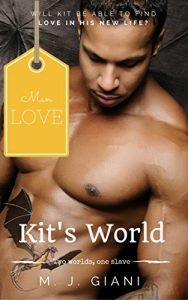 Baixar Kit’s World: When a slave meet his Master (English Edition) pdf, epub, eBook