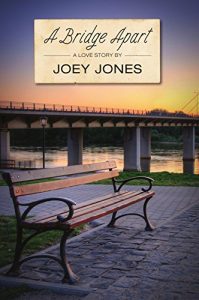 Baixar A Bridge Apart (English Edition) pdf, epub, eBook