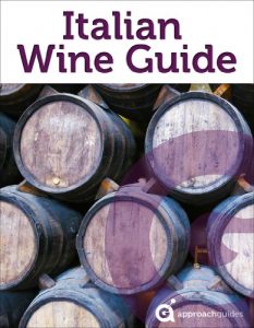 Baixar Italian Wine Guide (Guide to the Wines of Italy) (English Edition) pdf, epub, eBook