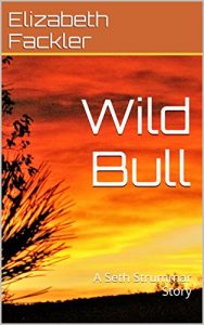Baixar Wild Bull: A Seth Strummar Story (The Seth Strummar Saga Book 2) (English Edition) pdf, epub, eBook