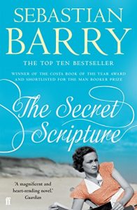 Baixar The Secret Scripture (English Edition) pdf, epub, eBook