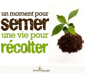 Baixar Un Moment Pour Semer, Une Vie Pour Recolter (French Edition) pdf, epub, eBook