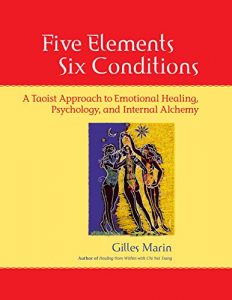 Baixar Five Elements, Six Conditions: A Taoist Approach to Emotional Healing, Psychology, and Internal Alchemy pdf, epub, eBook