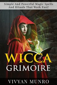 Baixar WICCA : Wicca Grimoire, Simple And Powerful Magic Spells And Rituals That Work Fast ! – Wicca For Beginners – (English Edition) pdf, epub, eBook