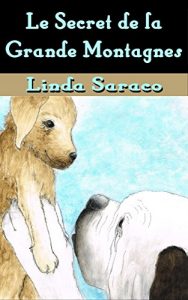 Baixar Le Secret de la Grande Montagne  (French Edition) pdf, epub, eBook