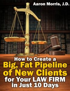 Baixar How to Create a Big, Fat Pipeline of New Clients for Your Law Firm in Just 10 Days (English Edition) pdf, epub, eBook