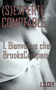 Baixar (S)experte Comptable – 1. Bienvenue chez BrooksCompany (French Edition) pdf, epub, eBook