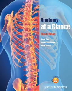 Baixar Anatomy at a Glance pdf, epub, eBook