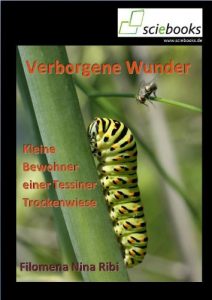 Baixar Verborgene Wunder – Kleine Bewohner einer Tessiner Trockenwiese (sciebooks 8) (German Edition) pdf, epub, eBook