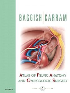 Baixar Atlas of Pelvic Anatomy and Gynecologic Surgery E-Book pdf, epub, eBook